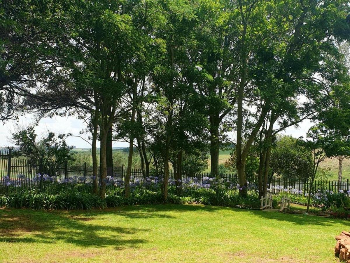 Rand Self-Catering Accommodation Carolina エクステリア 写真