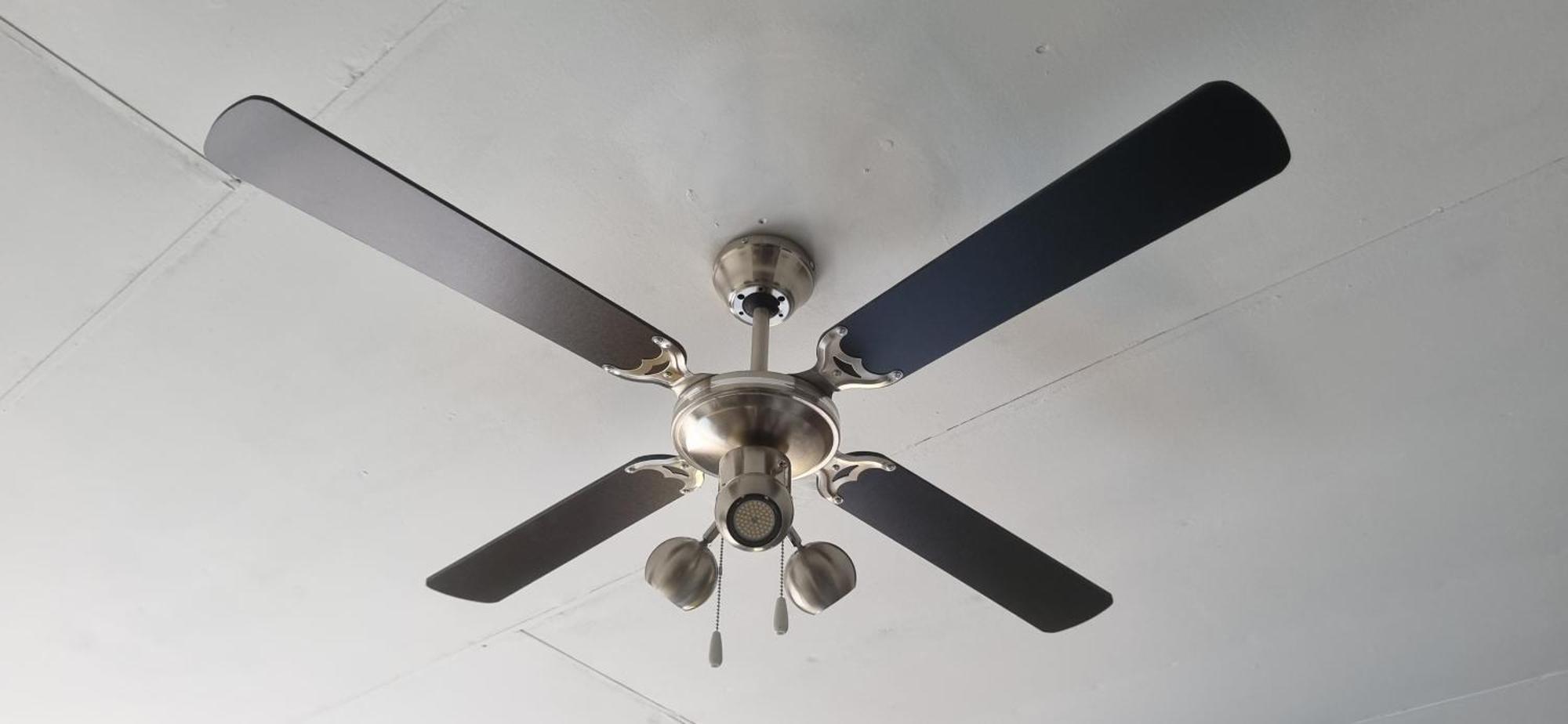 Rand Self-Catering Accommodation Carolina エクステリア 写真