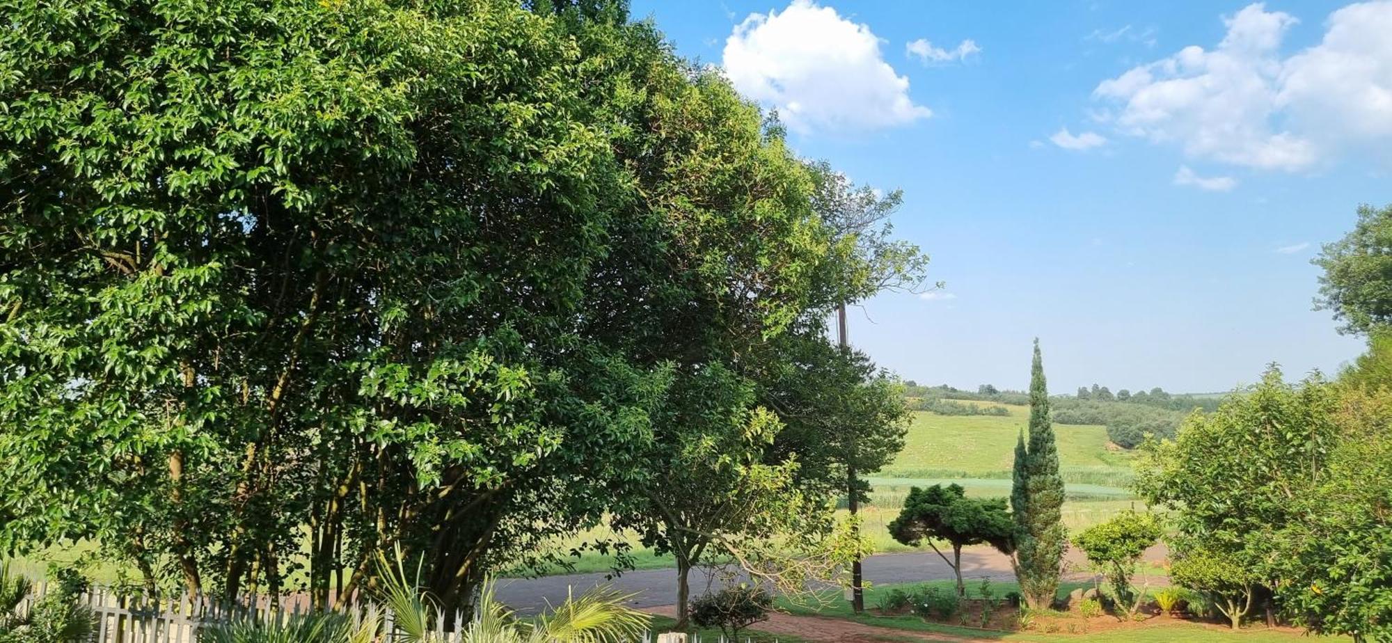 Rand Self-Catering Accommodation Carolina エクステリア 写真